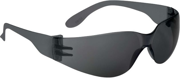LUNETTES BRAVA2 FUME